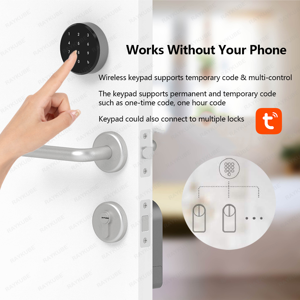 RAYKUBE A1 Pro Tuya BEL Smart  - Woodworking Apps 评论和价格